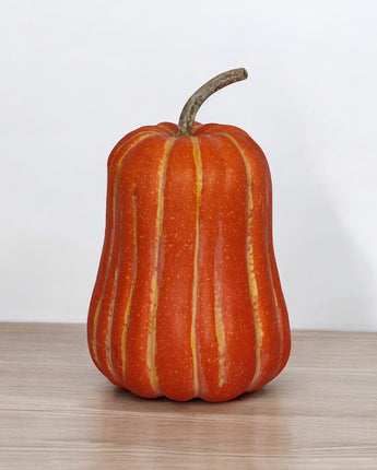 Hybrid Latex Gourd Pumpkin 15.5"