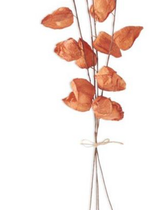 Chinese Lantern Bundle 28.5"