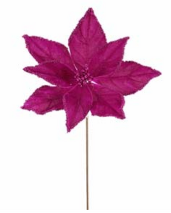 Fuchsia Poinsettia 19"