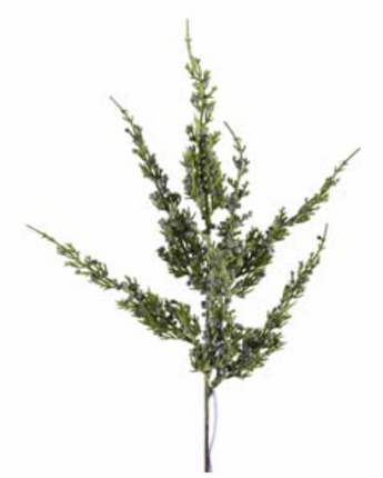 Juniper Berry Spray 22"