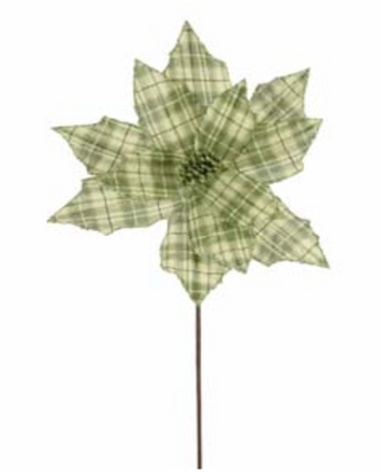 Plaid Poinsettia 22"