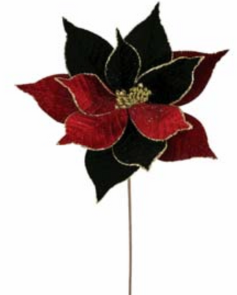 Red & Black Velvet Poinsettia 22"