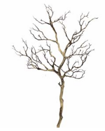 Twig Branch 38"