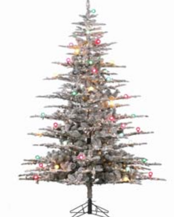 Pre-Lit Ridgeville Iced Balsam Tree 9'