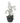 33" Real-Touch 7-Shoot Orchid Plant