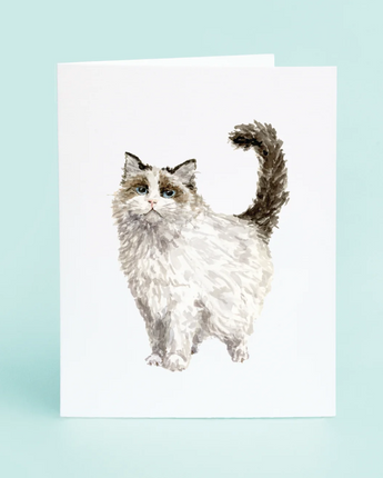 Ragdoll Cat Card